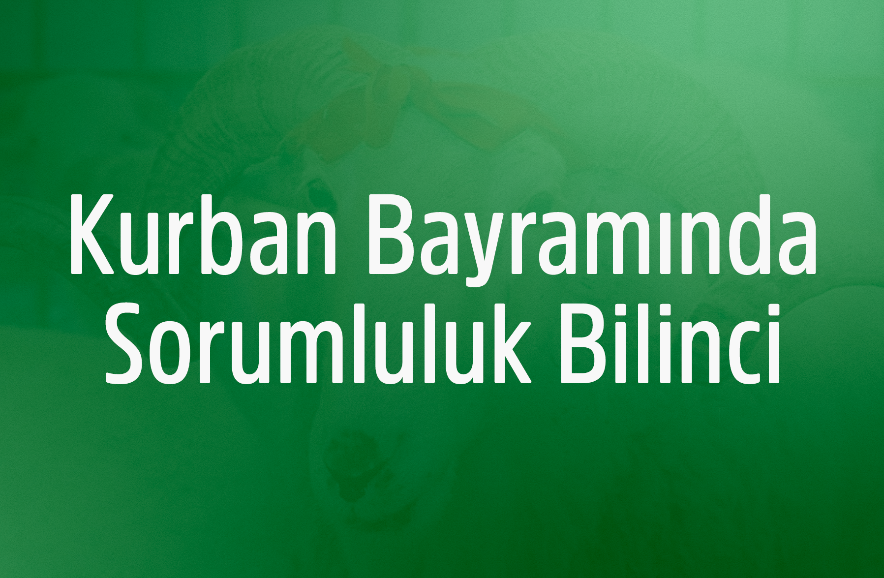 Kurban Bayramı’nda Sosyal Sorumluluk Bilinci