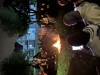 İbn-i Sina görseli 16