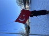 İbn-i Sina görseli 2